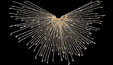 Quipu