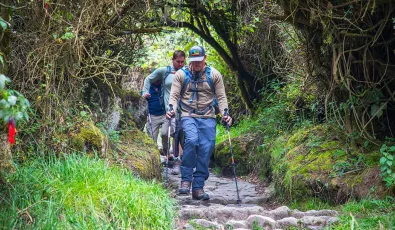 como usar bastones trekking | TreXperience
