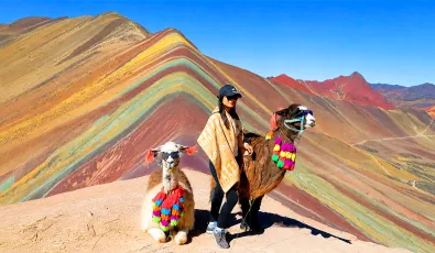 Turista con dos alpacas a la faldas del Vinicunca | TreXperience