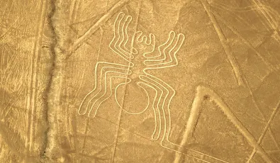 The Spider of the Nazca Lines The Spider of the Nazca Lines - TreXperience
