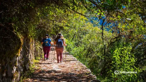 Camino Inca Perú | TreXperience