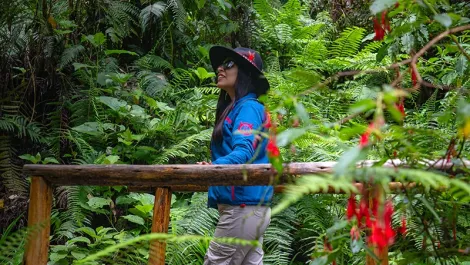 Aguas Calientes: All You Can Do Besides Machu Picchu