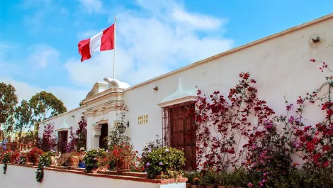 muesos en lima larco | TreXperience