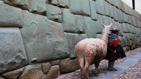 twelve angled stone lama andean woman