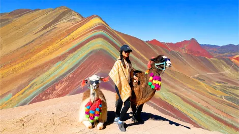 Woman visitor with alpacas in Vinicunca rainbow mountain | TreXperience