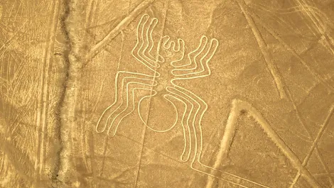 The Spider of the Nazca Lines - TreXperience