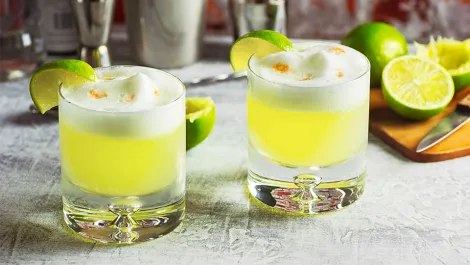 Pisco Sour Recipe | TreXperience