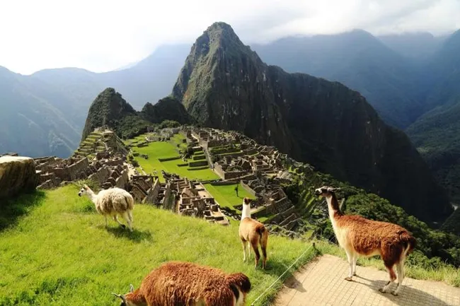 Inca Jungle Machu Picchu | Inca Jungle Tour