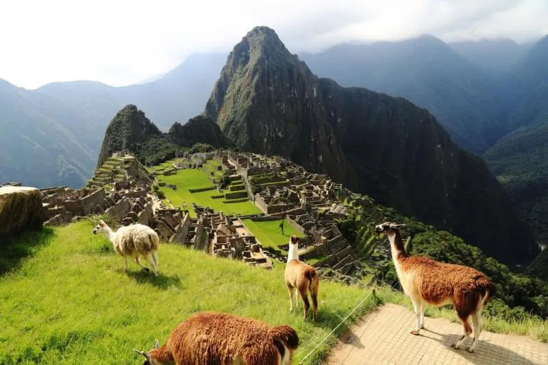 Machu Picchu Tour | TreXperience