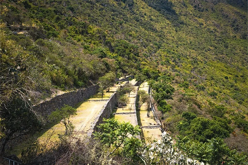 Terraces of Choquequirao | TreXperience