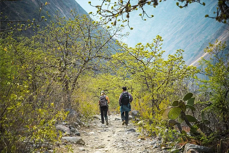 Choquequirao Trek second day | TreXperience