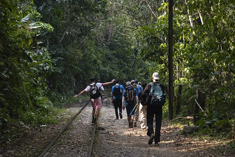 Tourists walking to Machu Picchu | TreXperience