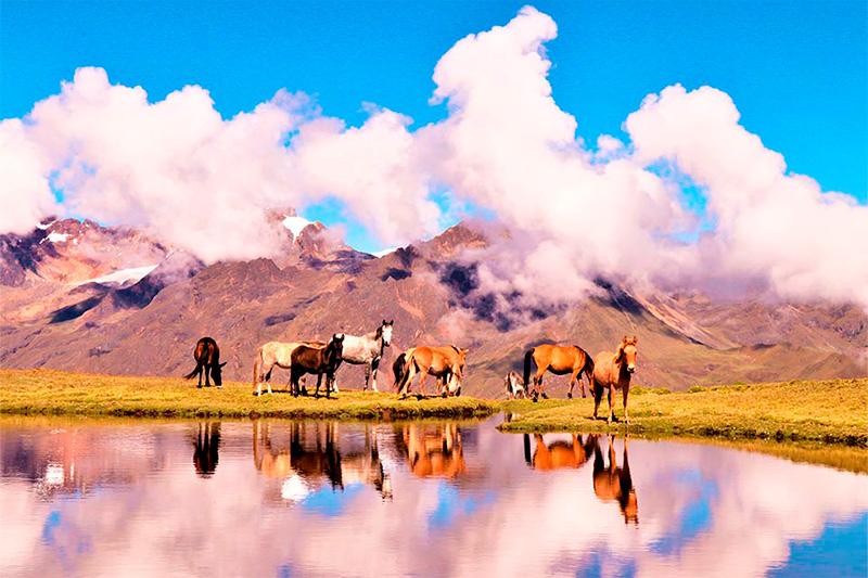 Laguna Marcacocha | TreXperience 