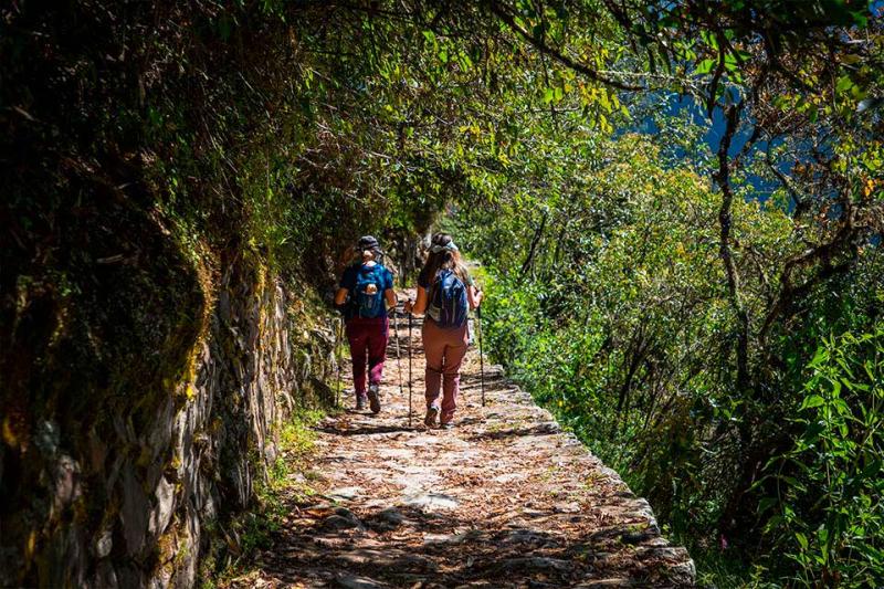 Trekking in the luxury Inca Trail to Machu Picchu | TreXperience