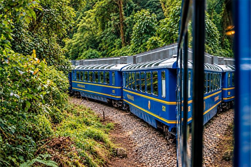 Vagones azules de PeruRail en una curva entre vegetación densa, vistos desde la ventana del tren