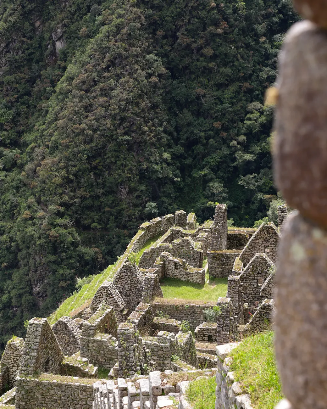 Wiñaywayna during the Inca Trail | TreXperience