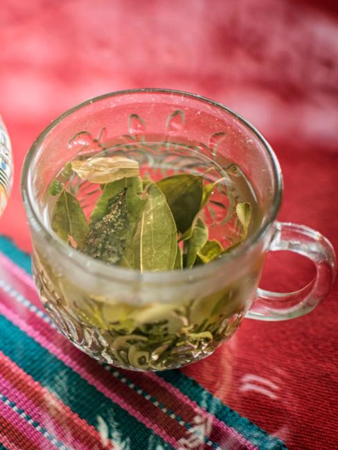 Coca tea at the Inca Trail | TreXperience