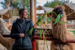 Alpaca farm in the Sacred Valley | Trexperience