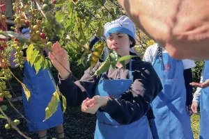 Experiencia del café en la caminata Salkantay a Machu Picchu | TreXperience