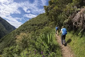 Hikers on a nature walk during the Salkantay Trek | Trexperience