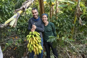 plantación platanos inca jungle trek | TreXperience