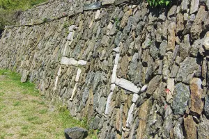Llama walls in Choquequirao | Trexperience
