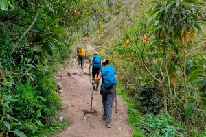 subiendo paso warmiwañusca | TreXperience