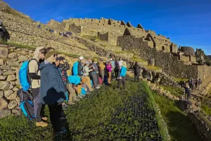 visita guiada matutina machu picchu | Trexperience