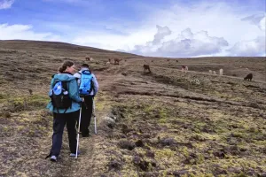 huchuy qosqo trekking | TreXperience
