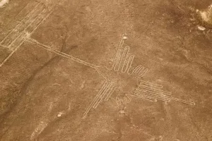 Hummingbird Nazca Line | Trexperience