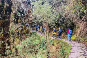 Inca Trail hike to Machu Picchu | Trexperience