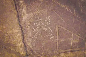 Lineas de Nazca Araña | Trexperience