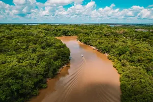 Amazon river | Trexperience
