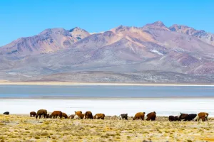 Aguada Blanca National Reserve | Trexperience