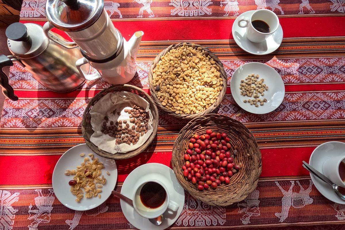 Experiencia de Café con degustación y preparación desde cero