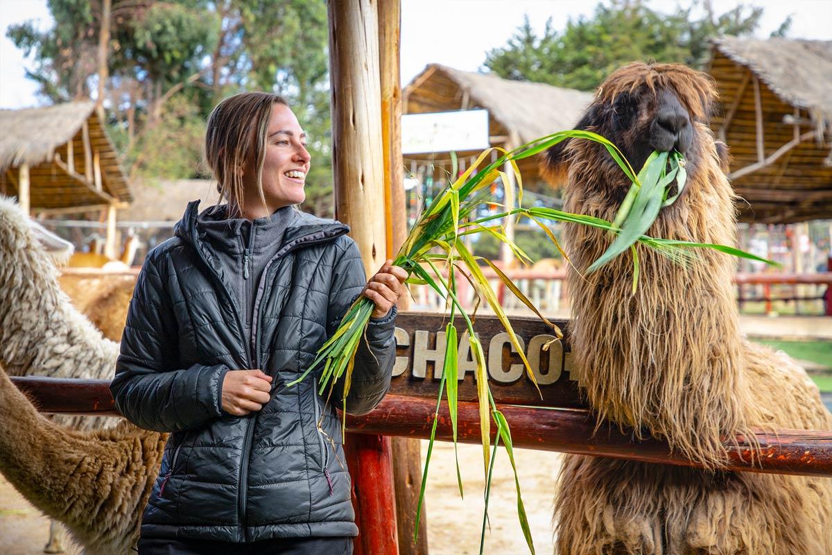 Alpaca farm in the Sacred Valley tour | TreXperience