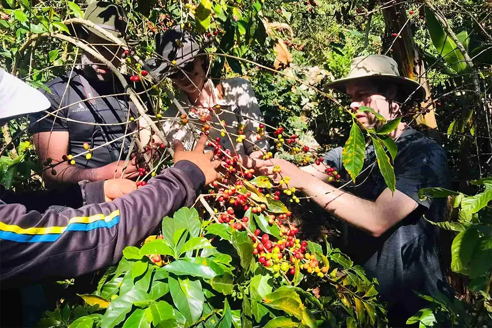 Hora del almuerzo - Salkantay Tour