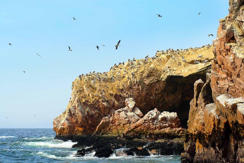 View of the Ballestas Islands teeming with life, where seabirds and marine animals coexist in motion; part of the Peru 20-day itinerary tour.