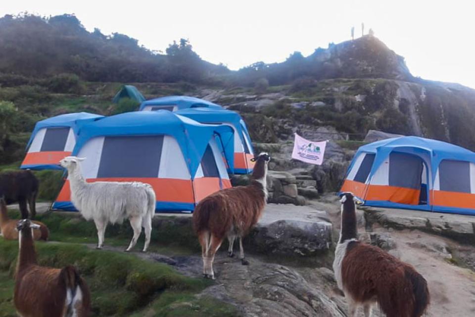 tents-and-llamas-deluxe-inca-trail