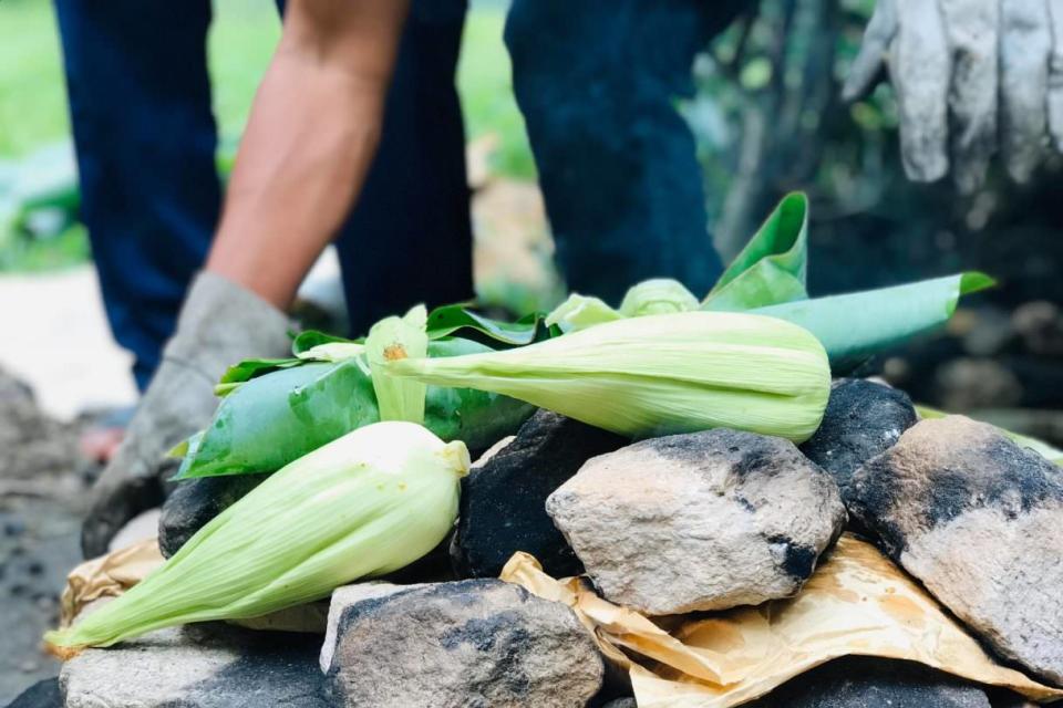 Choquequirao valley hike 4 days - Corn harvest