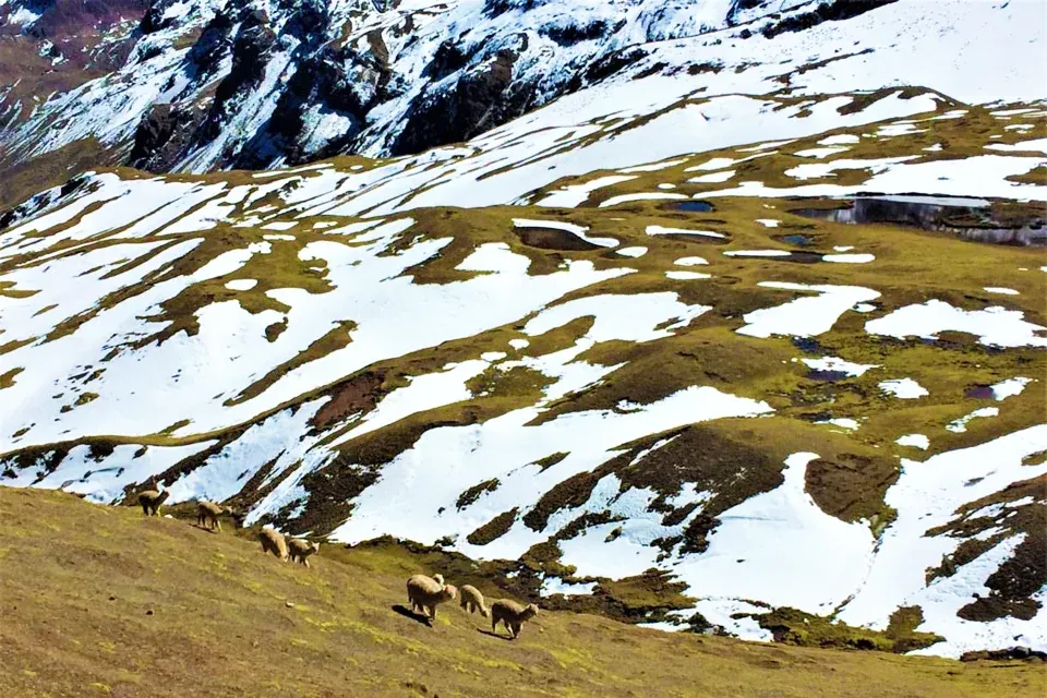 Paisajes nevados en el Trek Ausangate