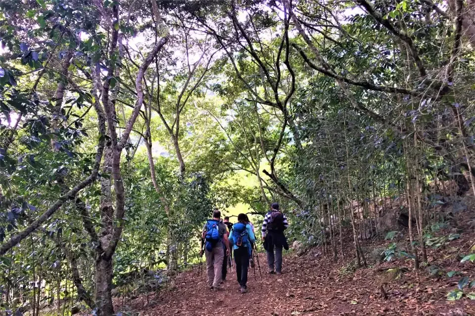 Inca Jungle Trek a Machu Picchu | TreXperience