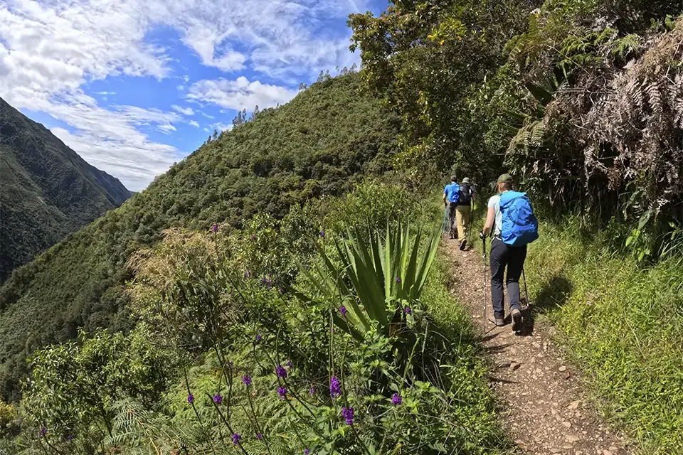 trekking salkantay to machu picchu | TreXperience