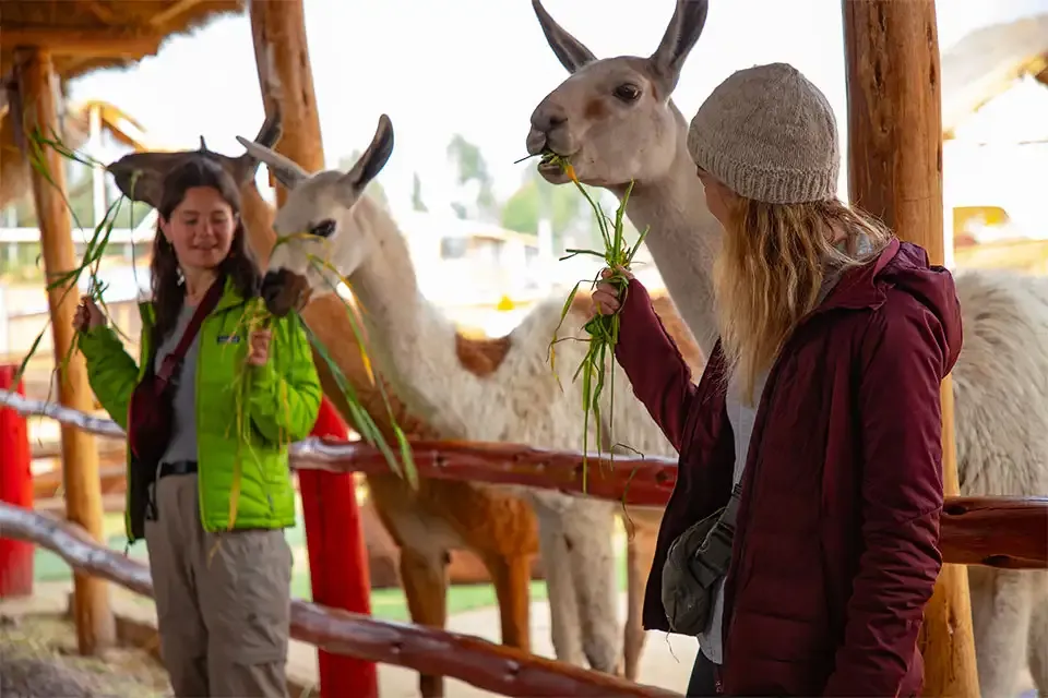 Super Sacred Valley tour Manos comunidad - TreXperience