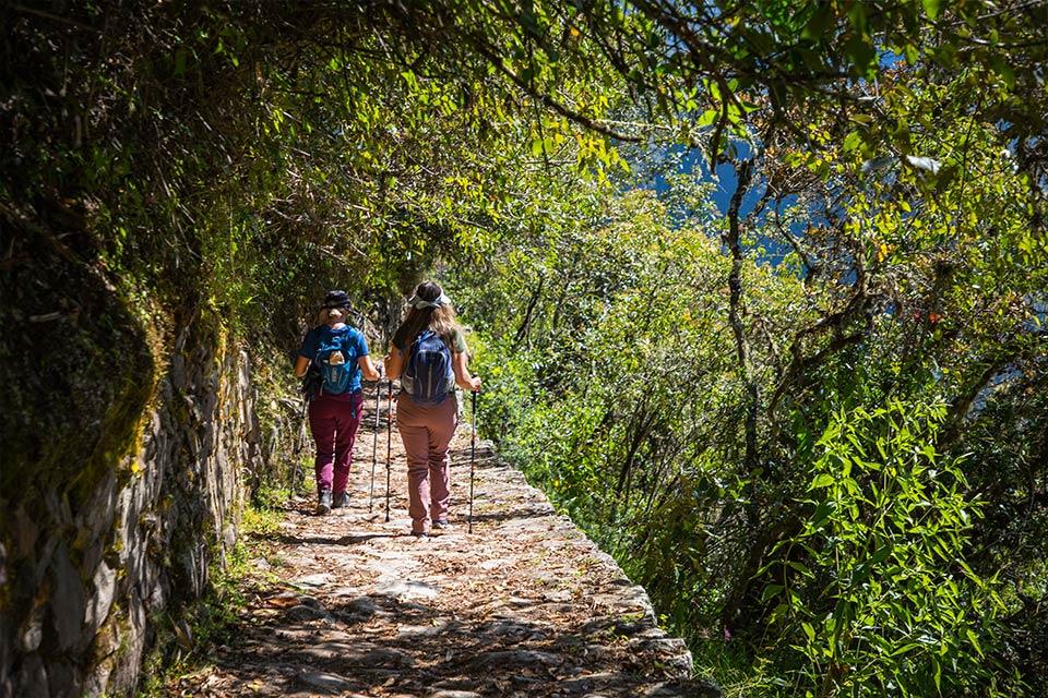 Senderistas caminando por un sendero empedrado y boscoso del Camino Inca (1 día) | TreXperience
