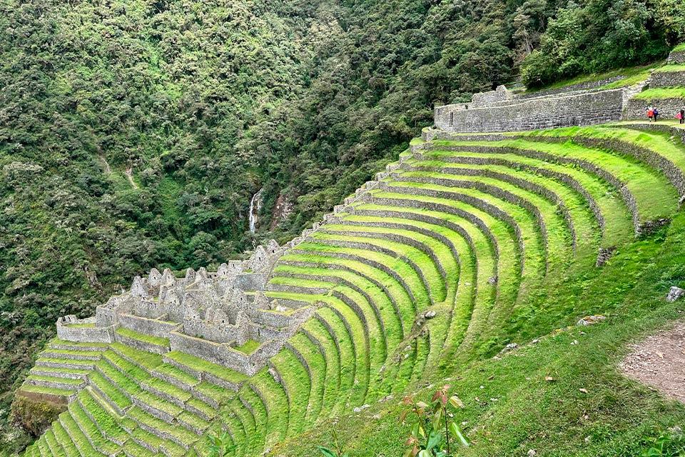 Terrazas agrícolas de Wiñay Wayna a lo largo del Camino Inca | TreXperience