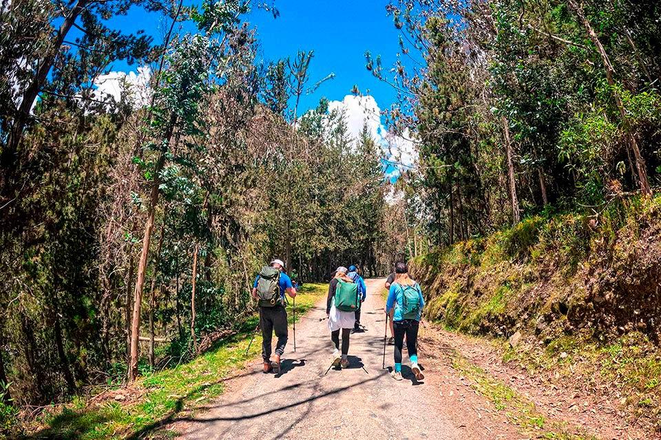 Grupo de caminantes avanza por un camino de tierra entre árboles, con cielo azul y nubes al fondo, Trek Lares a Machu Picchu 4 días | TreXperience
