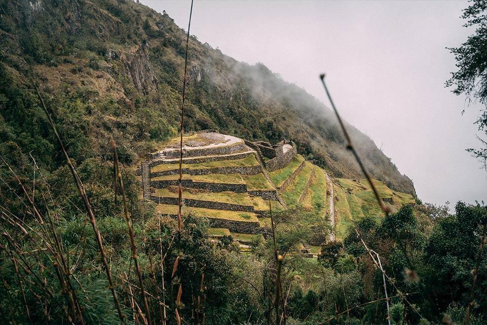 Turistas con un llama en Machu Picchu | TreXperience