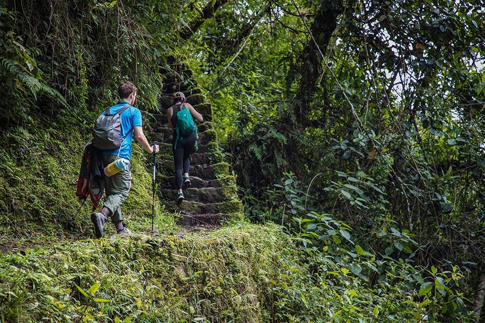 Hikers climbing stone steps through the cloud forest on the Short Inca Trail | TreXperience