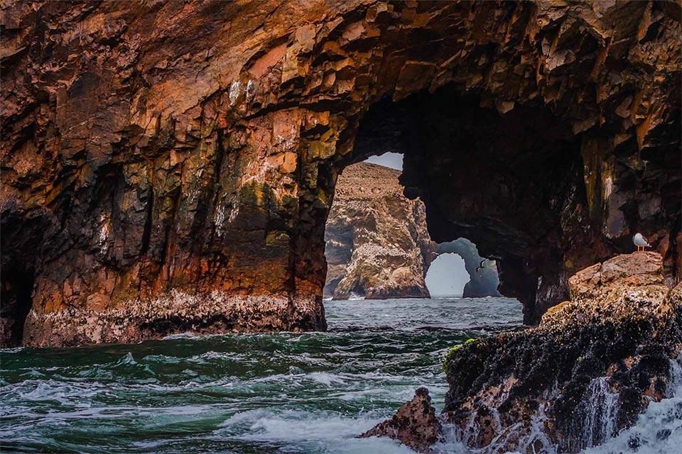 Islas Ballestas en el Perú gran aventura 19 dias | TreXperience
